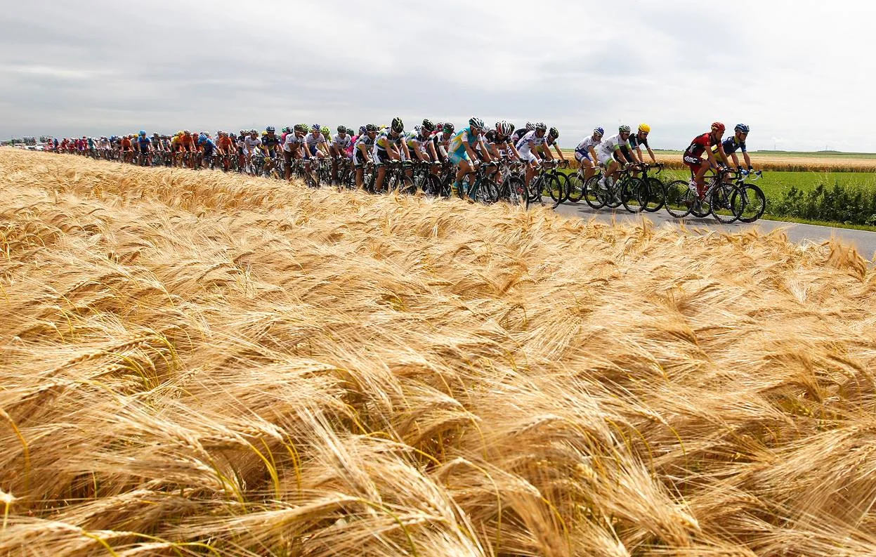 Gruppo di ciclisti accanto a un campo